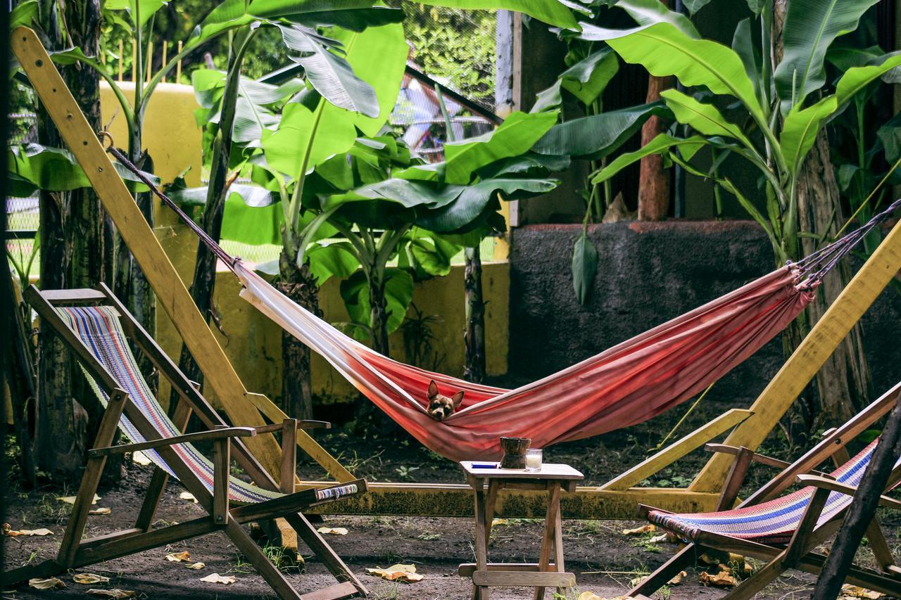 Hostel Life Is Good Moyogalpa Exterior photo